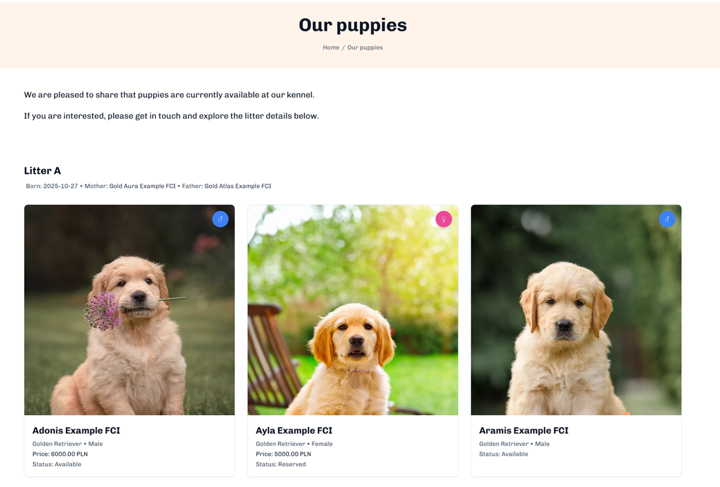 Puppy listings on an example BreedCode website