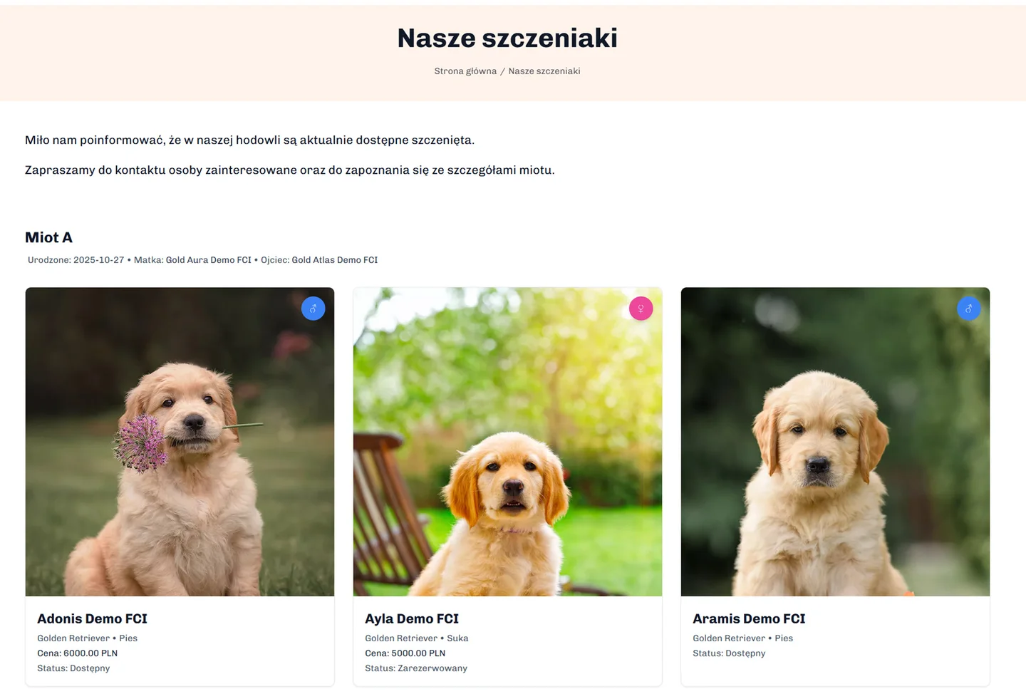 Przykładowa oferta szczeniąt na stronie hodowli
