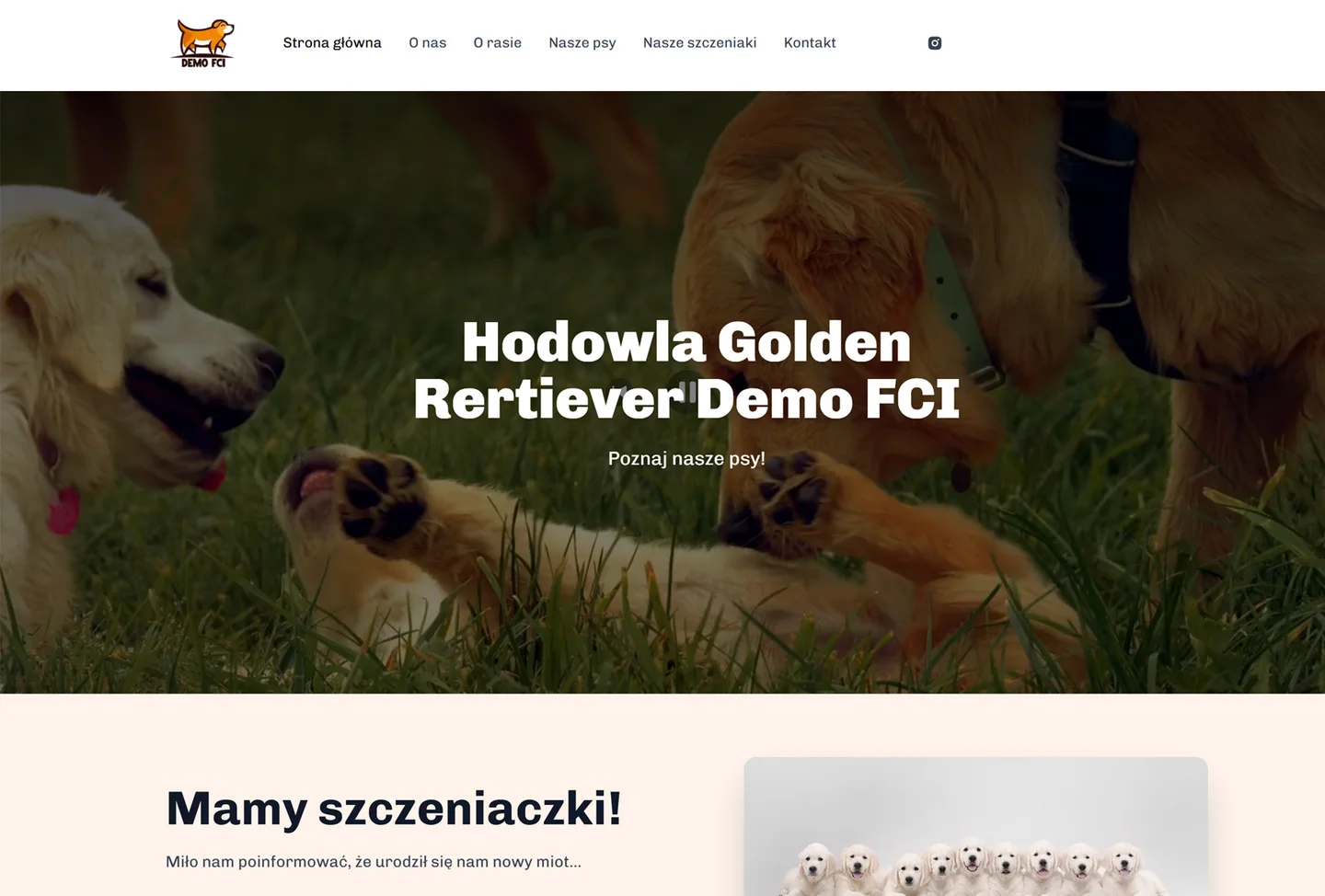 Przykładowa strona internetowa hodowli Golden Retriever